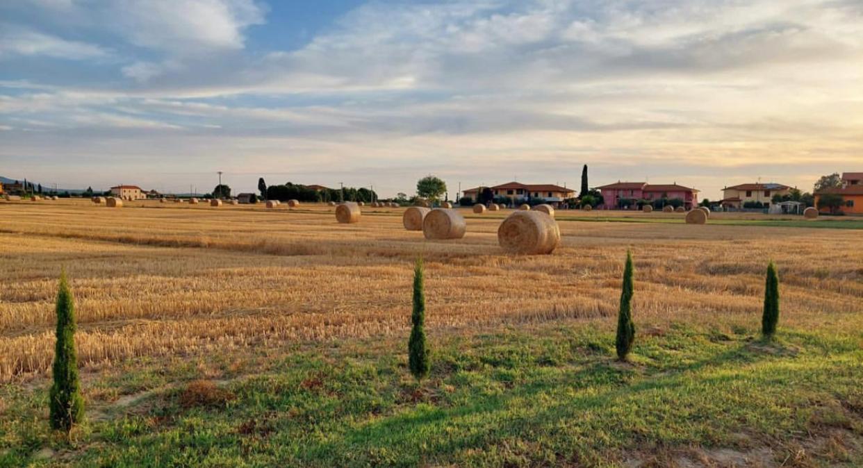 Il Cantuccio Cascina Dış mekan fotoğraf